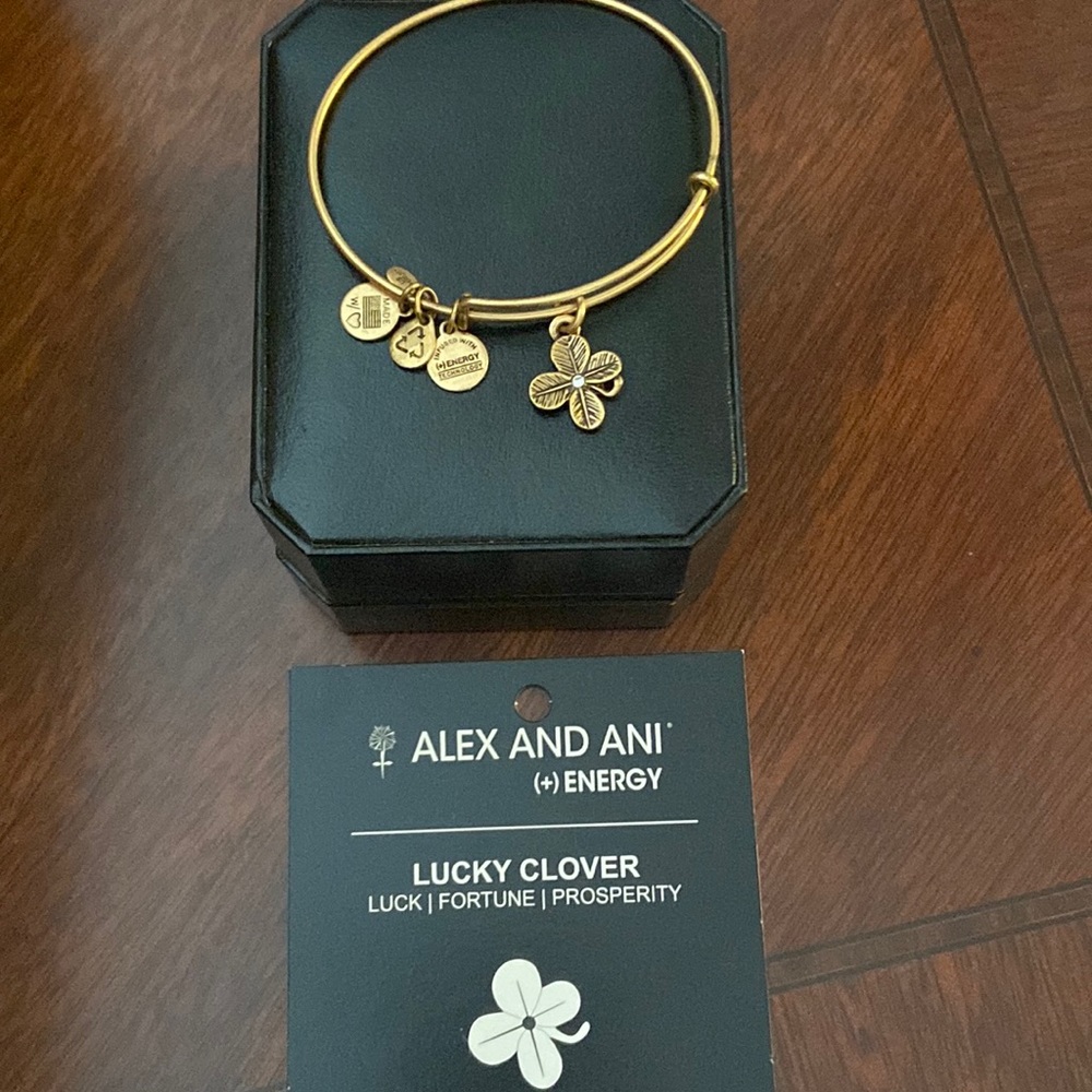 Alex and Ani Bracelet